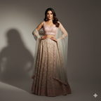 Rose Blush Embroidered Fusion Lehenga